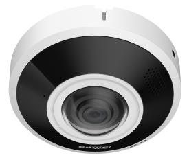 NET KAAMERA 6MP FISHEYE DOME/IPC-EBW5641-AS DAHUA